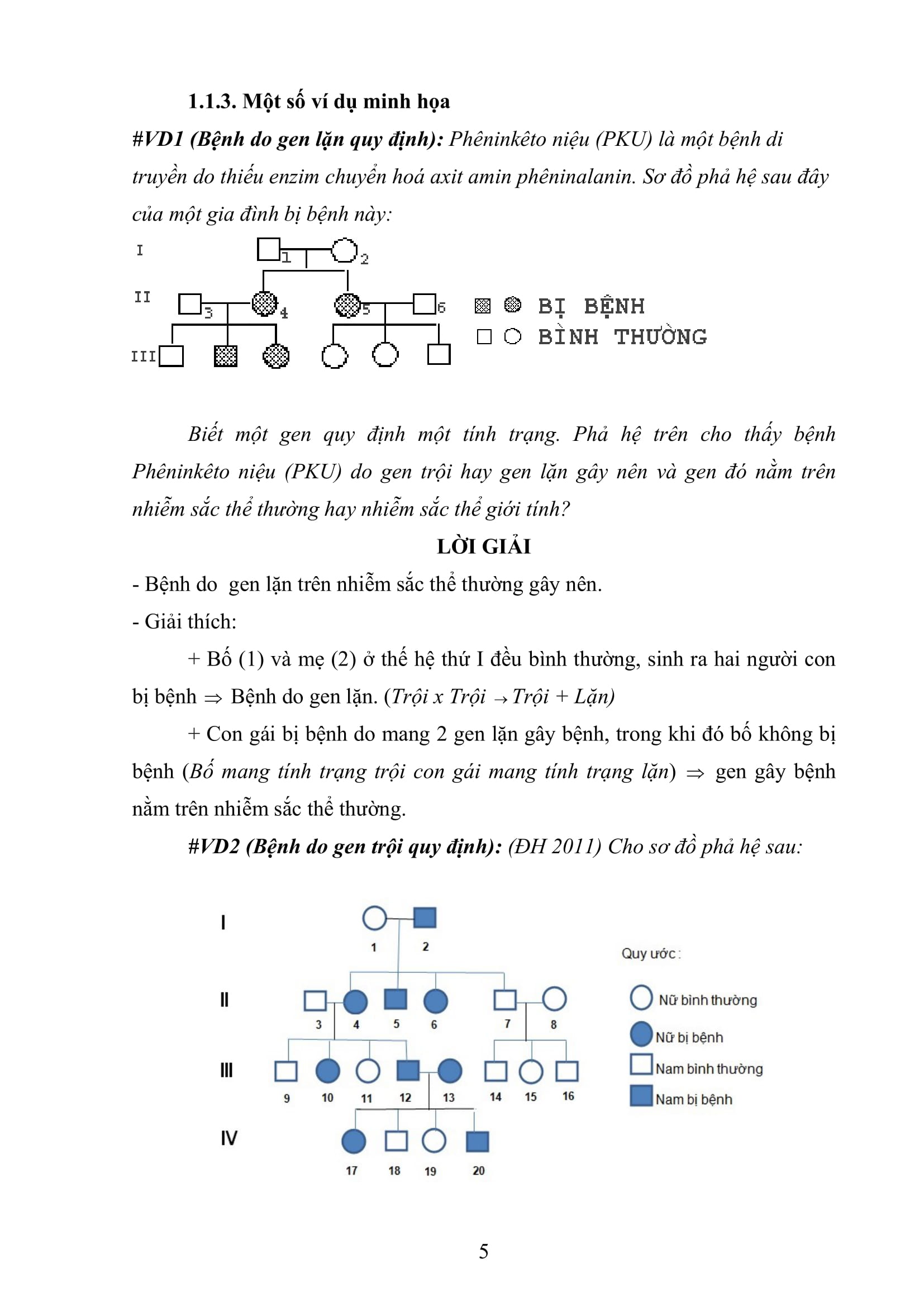 Chuyên Đề Di Truyền Phả Hệ Sinh Học 12